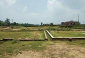 DTCP APPROVED AND PATTA LAND