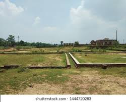 DTCP APPROVED AND PATTA LAND