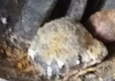 17614869722581434094942017900921