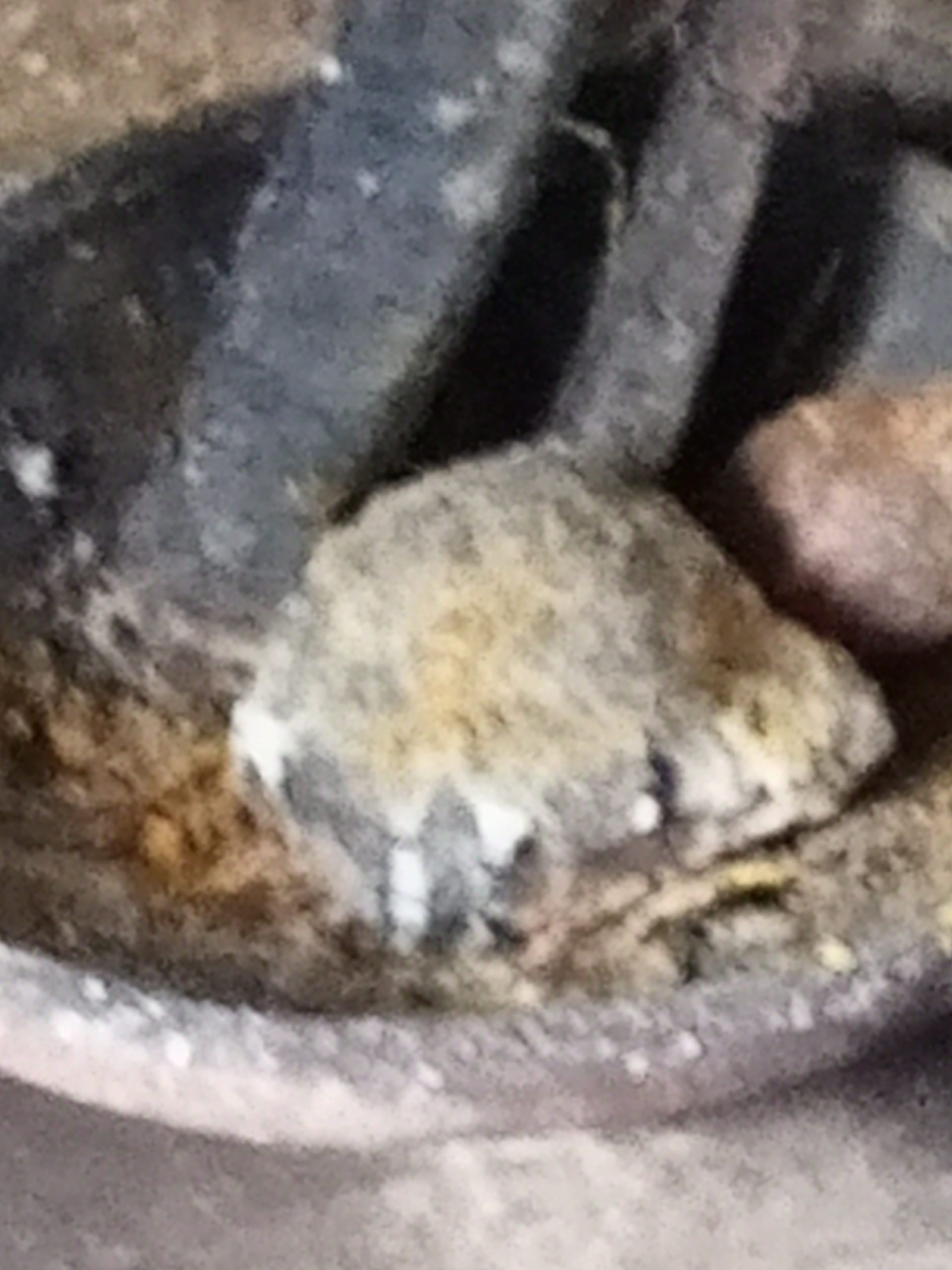 The Best Powerful SpirItual Herbalist Native Doctor IN Nigeria+2349159450040