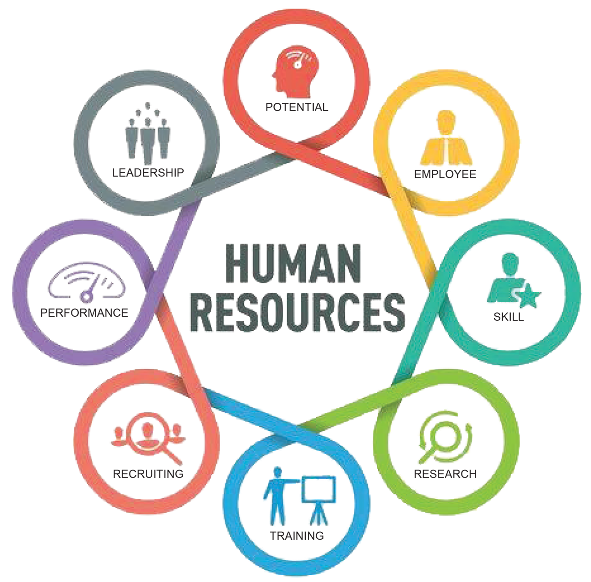 The Talent Keepers — Expert Diversity, CXO & Executive Hiring Agency in India