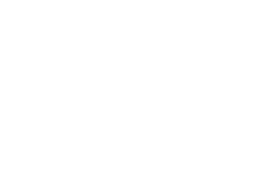 NORDIC_PP-LOGO_WHITE_small-cropped-1