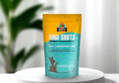 DoggyJi-Mockups1-ragi-shots-20-12-25