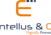 Top Digital Marketing Agency in Bangalore – Entellus Co