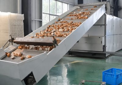 Coconut-Based-Animal-Feed-Industrial-Applications-Drying-Systems-1