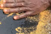 Pure Gold Bars For Sale in Congo+256701757162 Estonia,Finland,France,Georgia