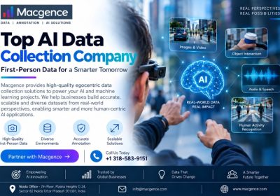 Top-AI-Data-Collection-Company